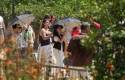 ep varios turistas caminan en barcelona