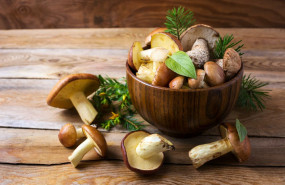 1586244644 la casa de las setas 1586244644 la casa de las setas