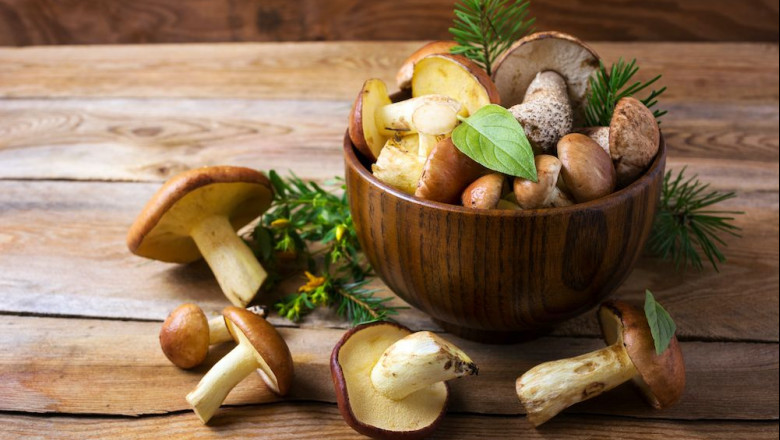 1586244644 la casa de las setas