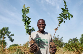 1625240552 trees for the future 2 20210705111059 