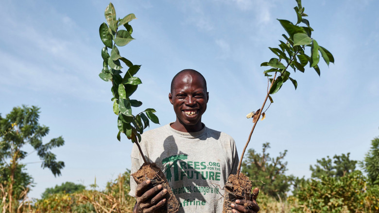 1625240552 trees for the future 2 20210705111059 