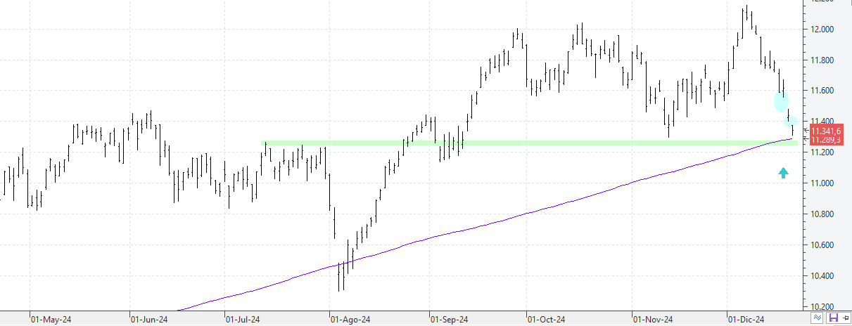 221224ibex