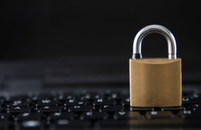 allyz cyber 20250225120930 