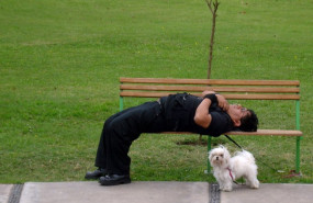 ep archivo   dormir dormido durmiento parque mascota
