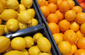 ep archivo   limones y naranjas