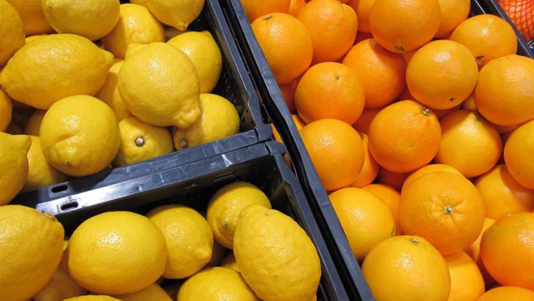 ep archivo limones y naranjas ep archivo limones y naranjas