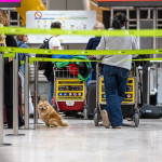 ep archivo   viajeros en el aeropuerto adolfo suarez madrid barajas