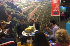 ep economia- productores europeosplatanosbananas exigen igualdadcriteri
