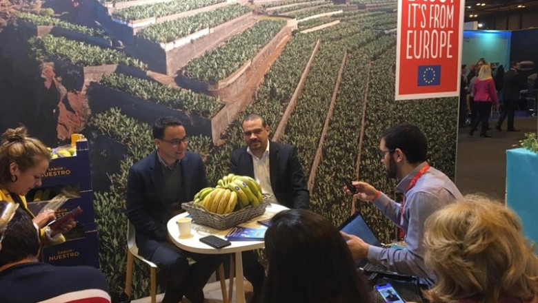 ep economia- productores europeosplatanosbananas exigen igualdadcriteri