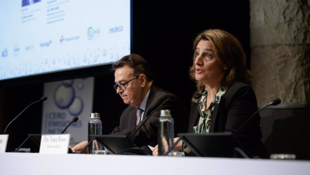 ep la vicepresidenta tercera del gobierno y ministra para la transicion ecologica y el reto 20240205105211