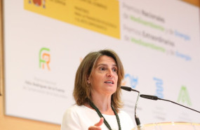 ep la vicepresidenta tercera y ministra para la transicion ecologica y el reto demografico teresa 20220614102211