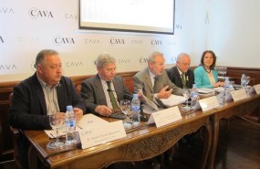 ep presentacionlos resultados2017la do cava