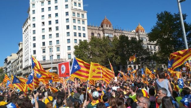 ep senyeres y estelades enmanifestacionla diada