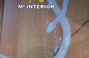 ep serpiente muertallego al comprador