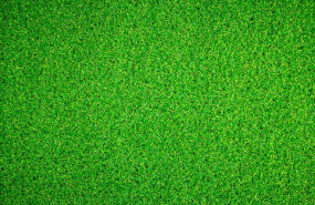 1571999166 cesped artificial