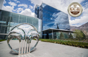 1606294898 dsn award 2020