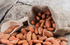 1636536777 ndp cacao diabetes