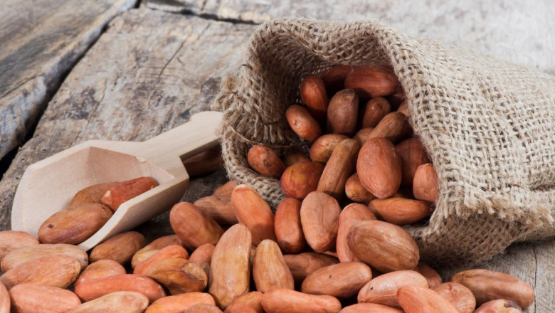 1636536777 ndp cacao diabetes