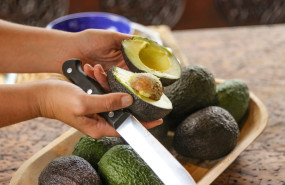 aguacate 76 de 80 