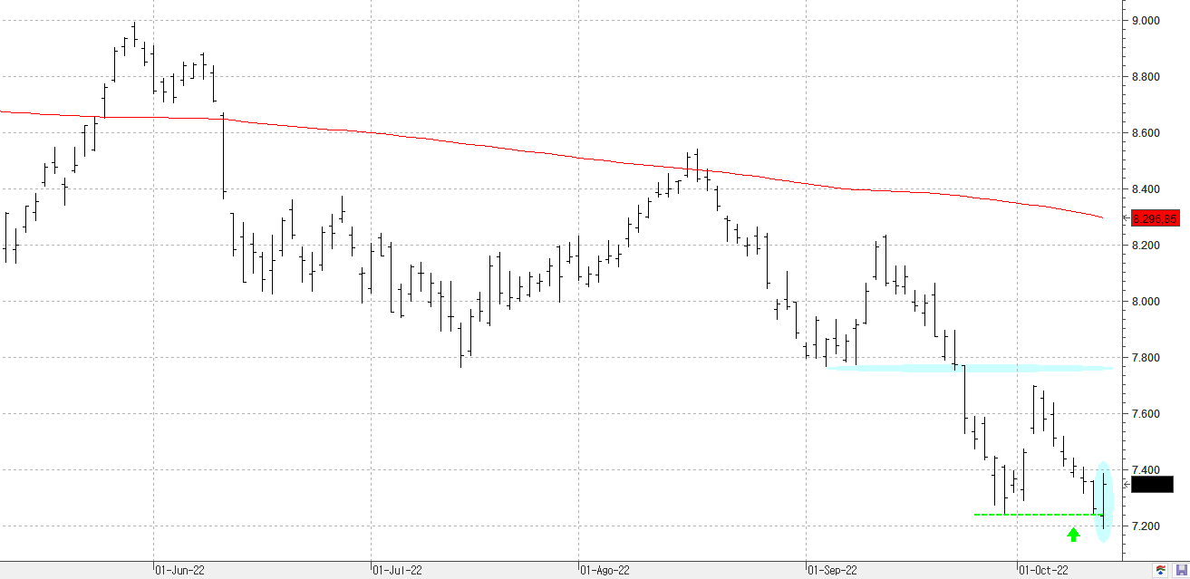 c131022ibex