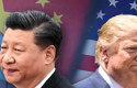 cb china trade sh1211 cb china trade sh1211