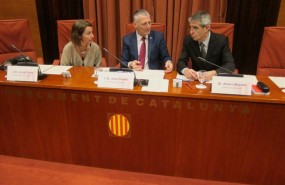 ep acaula jxsi jcastel cs letradoparlament abayona
