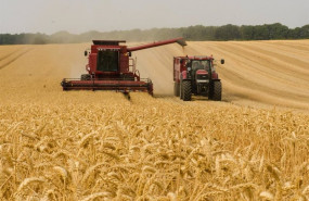 ep agricultor cosechando en el campo