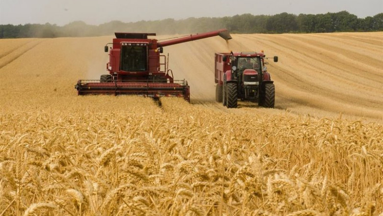 ep agricultor cosechando en el campo
