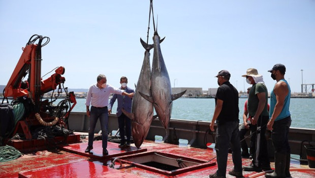 ep archivo   bendodo en un barco almadrabero con dos atunes recien capturados