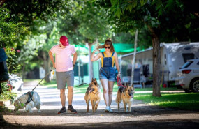 ep archivo   las reservas de campings con mascotas en espana crecen un 60 para este verano segun la