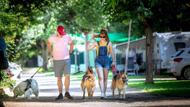 ep archivo   las reservas de campings con mascotas en espana crecen un 60 para este verano segun la