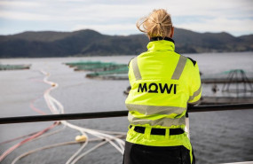 ep archivo mowi ep archivo mowi