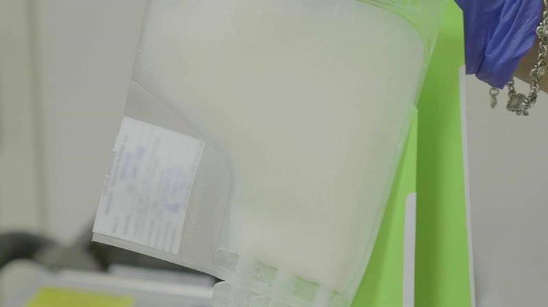 ep celulas editadas con crispr