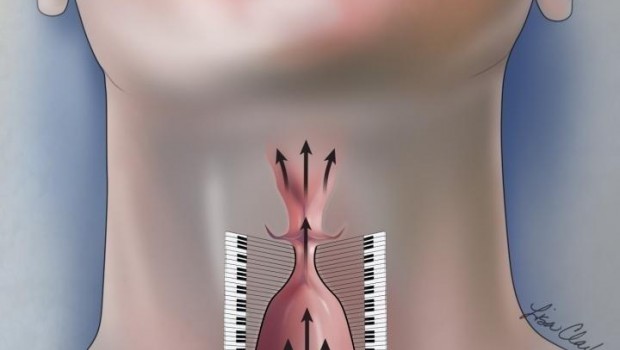 ep cuerdas vocales