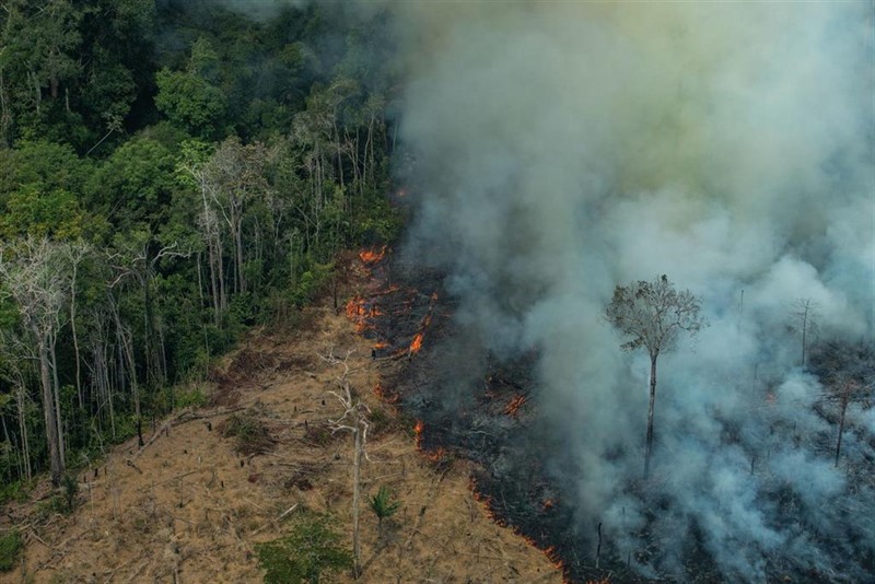 ep incendio en amazonas ep incendio en amazonas