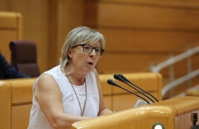 ep la portavoz de erc en el senado mirella corts gs