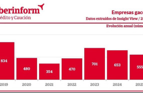 ep las empresas gacela descienden un 15 en 2025 segun iberinform