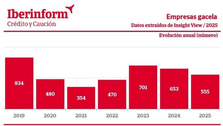 Las empresas gacela descienden un 15% en 2025, según Iberinform. | IBERINFORM ep las empresas gacela descienden un 15 en 2025 segun iberinform