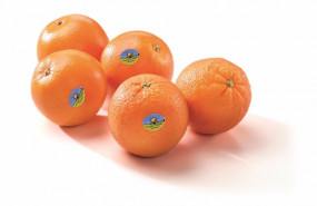 ep naranjas y mandarinas de carrefour