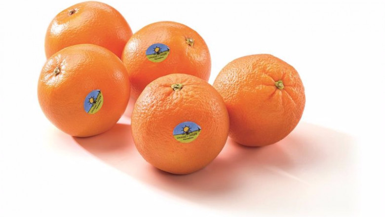 ep naranjas y mandarinas de carrefour
