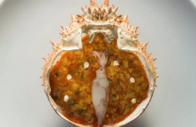 ep plato del chef jorge d andres en la vertical