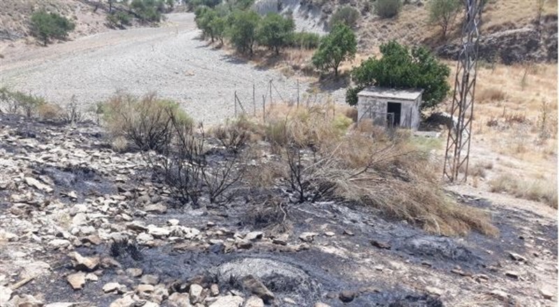ep superficie calcinada en el incendio forestal de morelabor