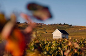 ep vinedos de louis roederer