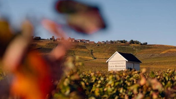 ep vinedos de louis roederer