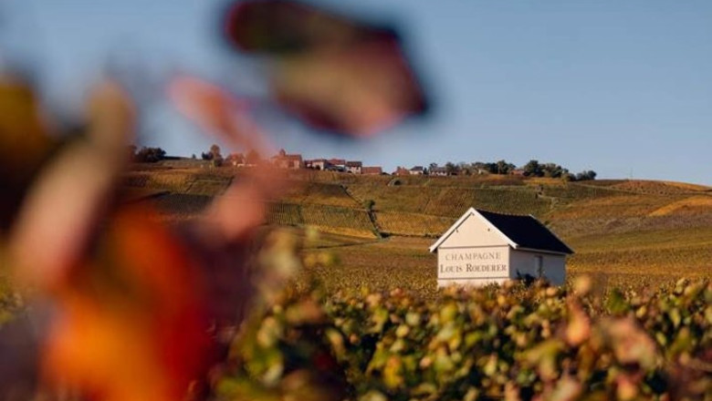 ep vinedos de louis roederer