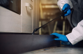 exterminador lucha contra insectos desinsectacion local 