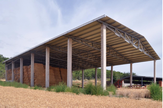 captura de pantalla 2024 04 01 a las 65539 am 1