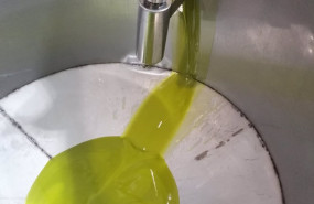 ep aceite almazara