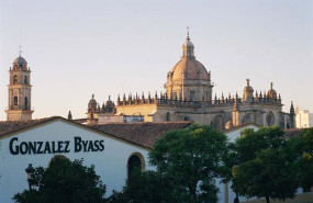 ep archivo   gonzalez byass