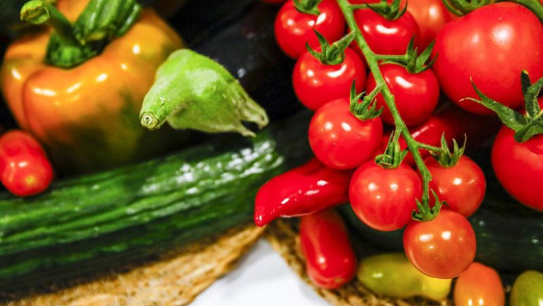 ep archivo   la exportacion de frutas y hortalizas en 2025 alcanza los 18666 millones de euros segun